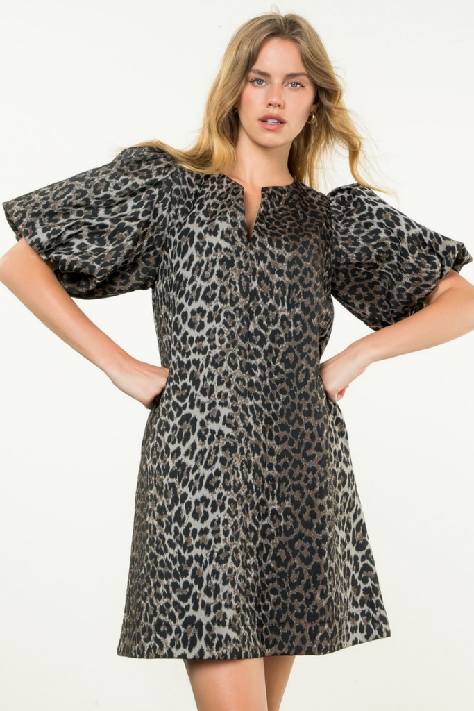 Elena Leopard Print Dress