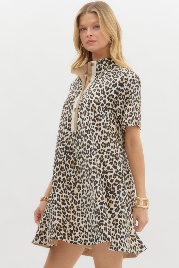 Siena Leopard Print Mini Dress