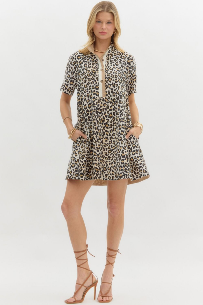 Siena Leopard Print Mini Dress