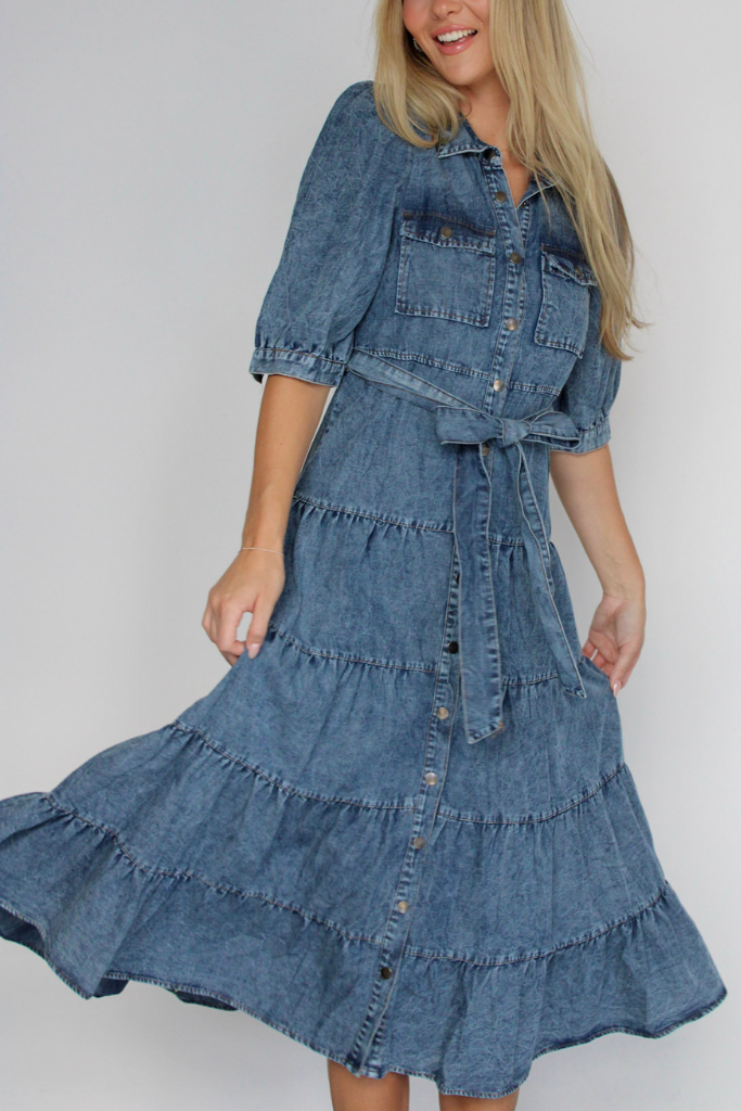 Apple Orchard Denim Midi Dress