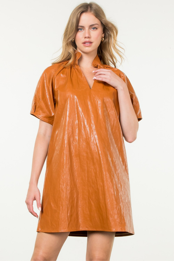 Honeycrisp Pleather Mini Dress in Rust