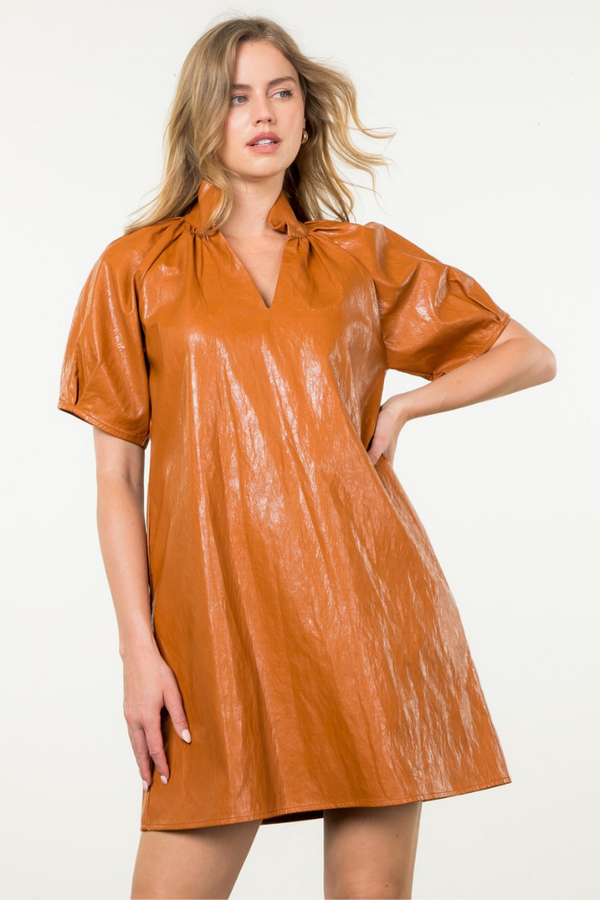 Honeycrisp Pleather Mini Dress in Rust