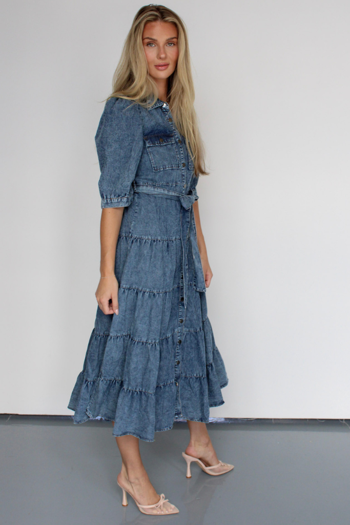 Apple Orchard Denim Midi Dress