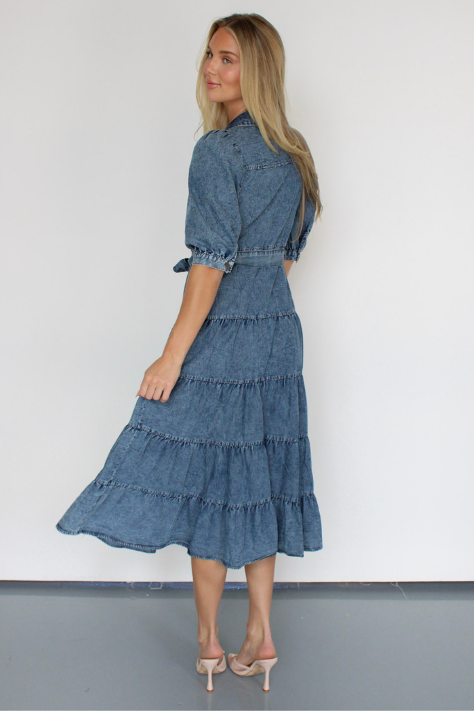 Apple Orchard Denim Midi Dress