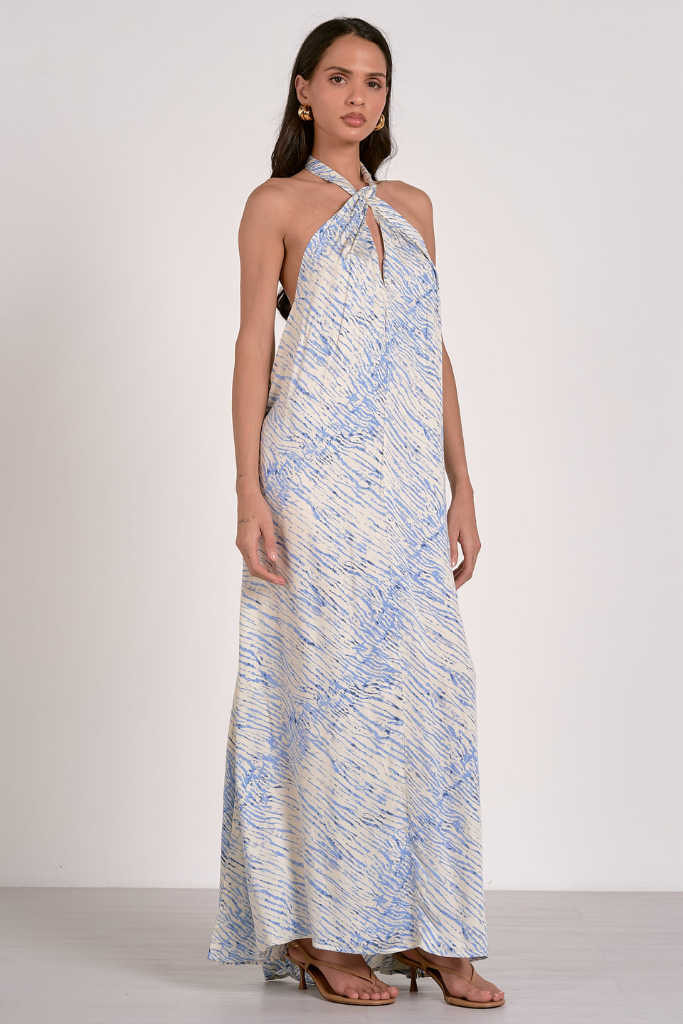 Camelia Printed Halter Maxi Dress
