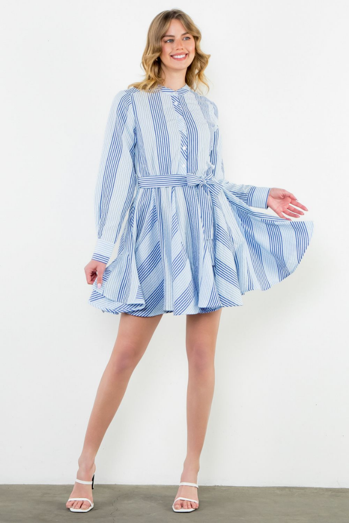 Lina Stripe Long Sleeve Swing Dress