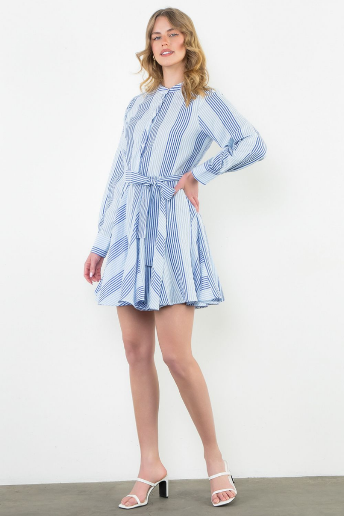 Lina Stripe Long Sleeve Swing Dress