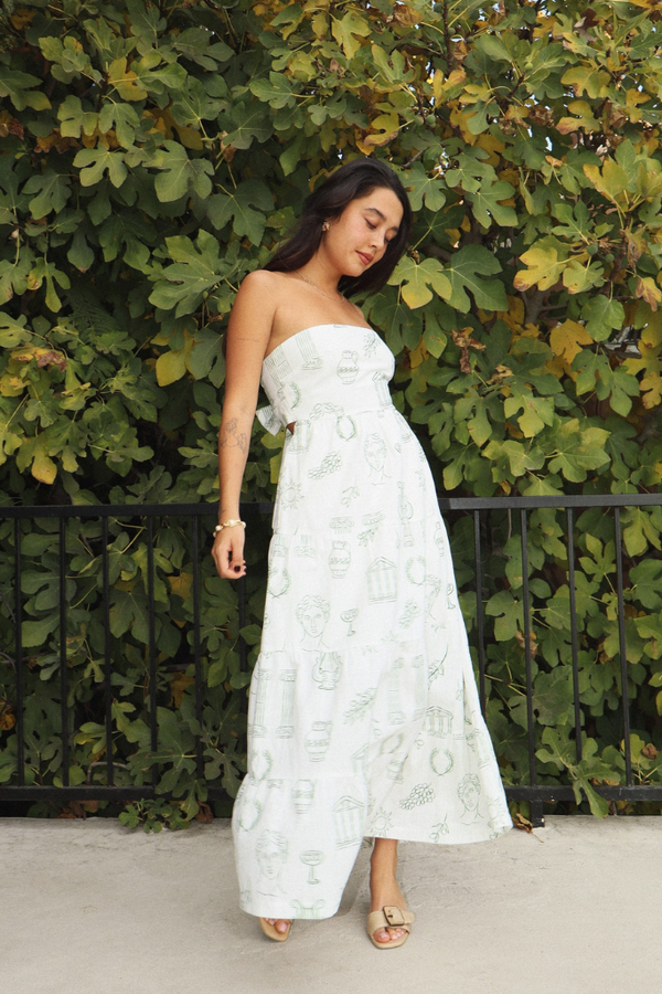 Athena Grecian Print Maxi Dress