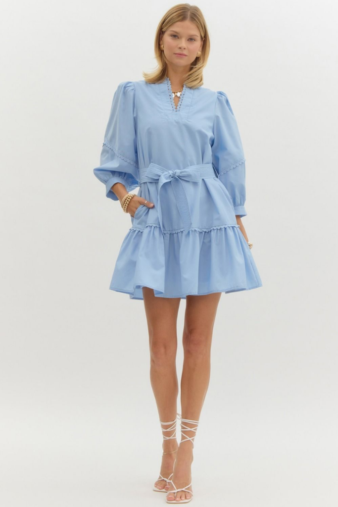 Adele Long Sleeve Swing Dress