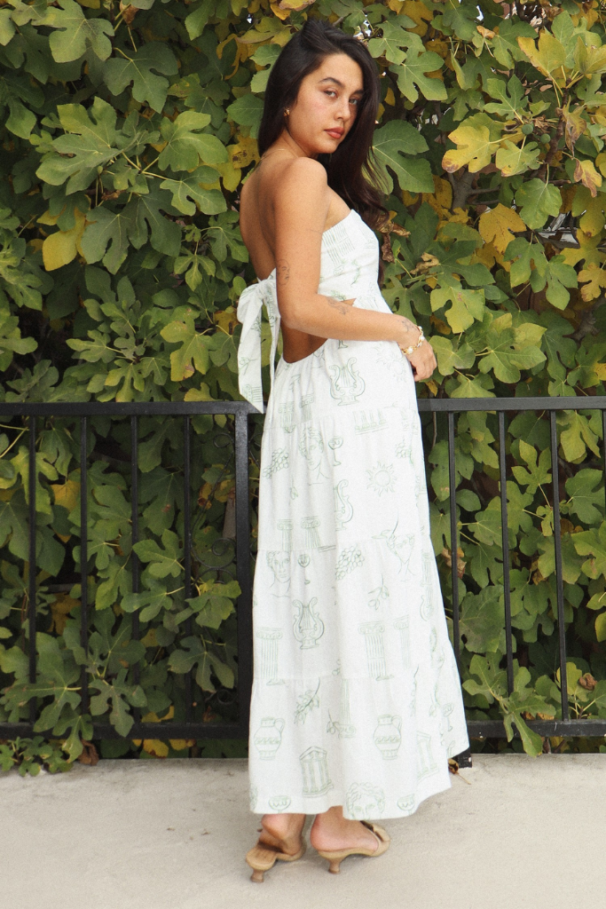 Athena Grecian Print Maxi Dress