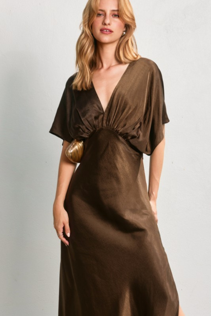 Gabrielle silk dress in brown